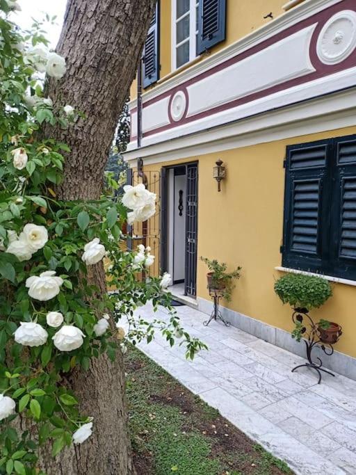 Casetta Jacaranda Cenova Dış mekan fotoğraf